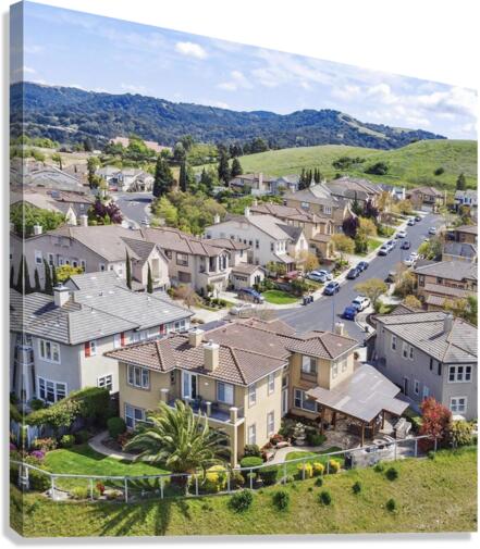 My Neighborhood  Canvas Print