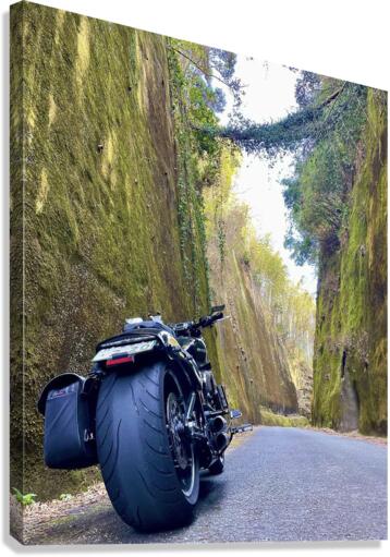 BiKE LOVE Canvas Print