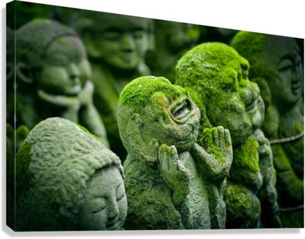 Green Asians  Canvas Print