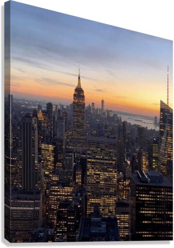 Big City Views Canvas Print