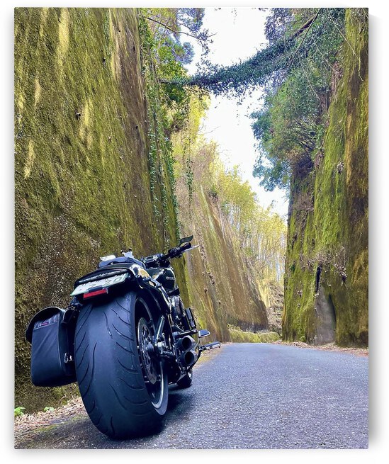 BiKE LOVE by Gregory Michael 88 Art Studio