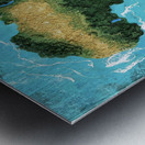 Africa Grass  Metal print