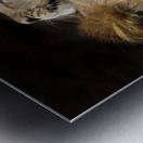 Lions Den Metal print