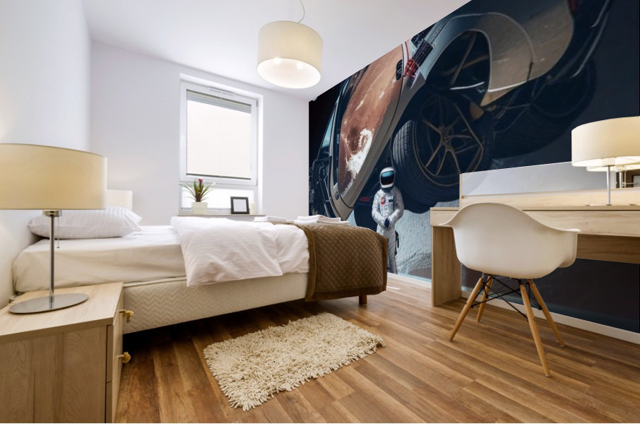 SPACE SWAG Mural print