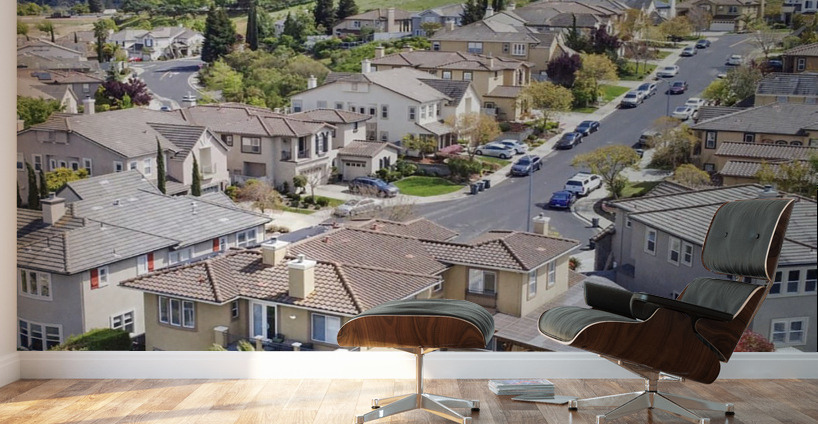 My Neighborhood  Wall Murals