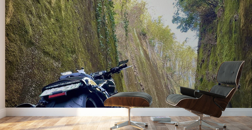 BiKE LOVE Wall Murals