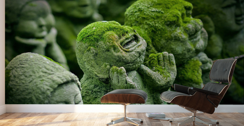 Green Asians  Wall Murals