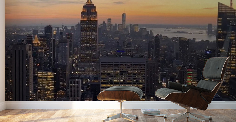 Big City Views Wall Murals