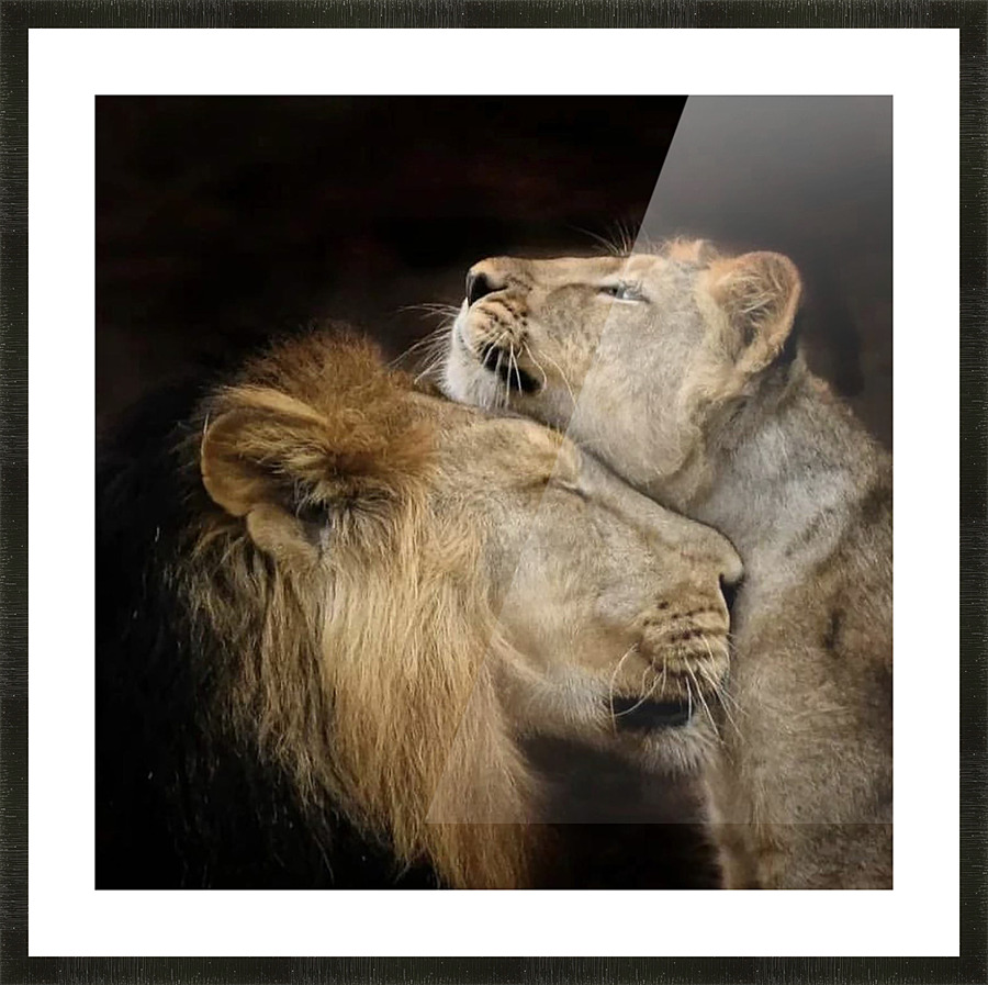Lions Den Picture Frame print