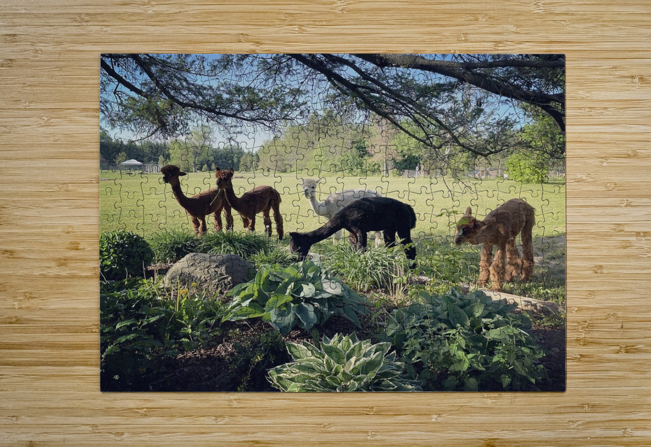 Lead The Sheep Gregory Michael 88 Art Studio Puzzle printing