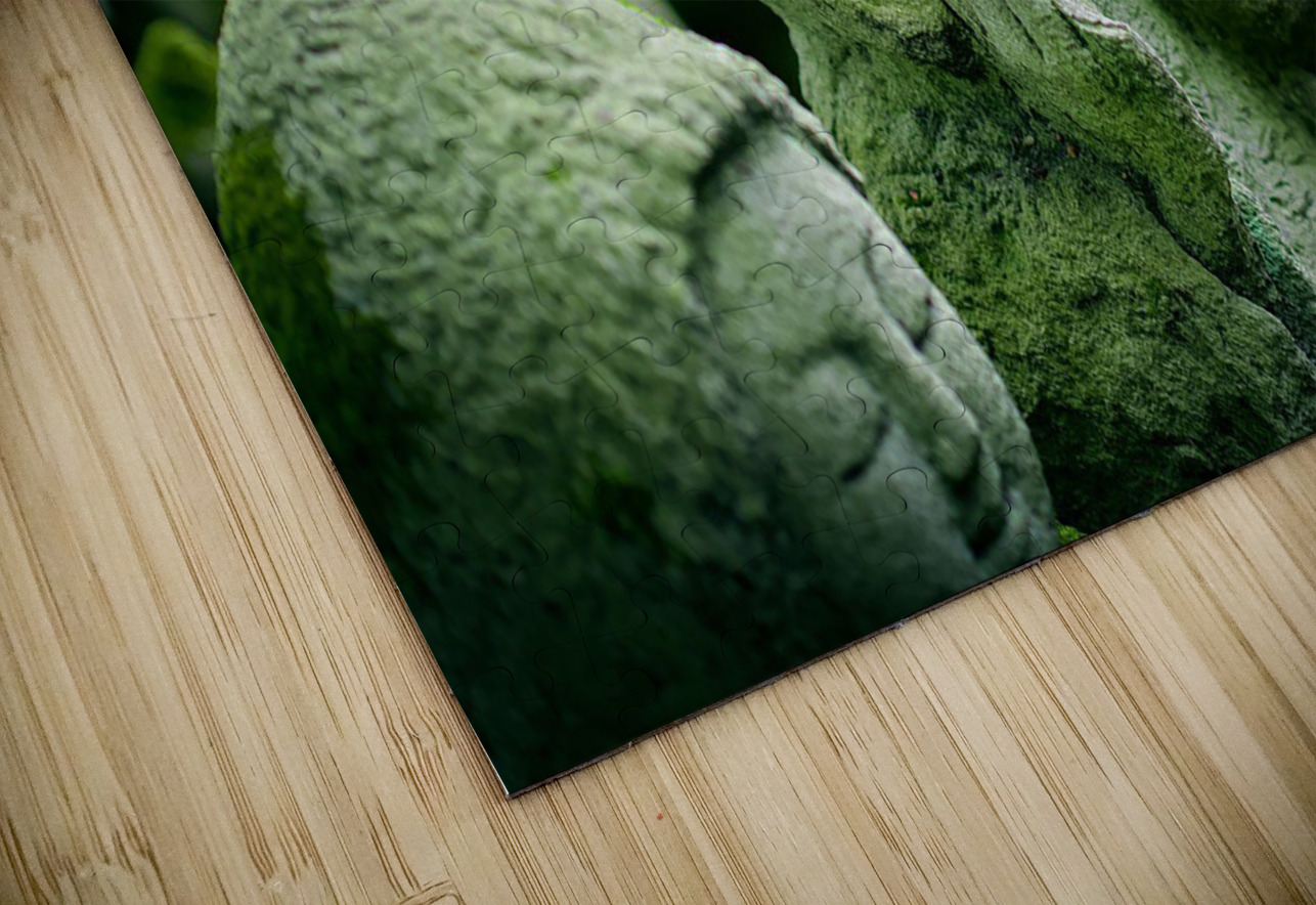 Green Asians  Gregory Michael 88 Art Studio Puzzle