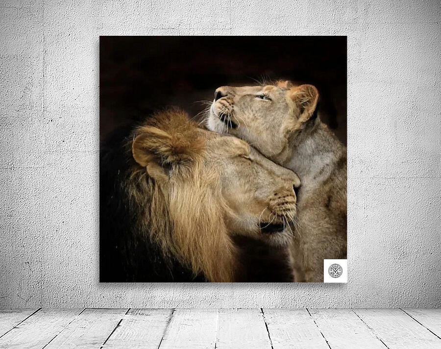 Lions Den Wall Preview