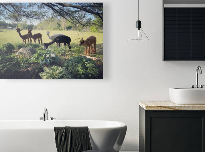 Lead The Sheep by Gregory Michael 88 Art Studio